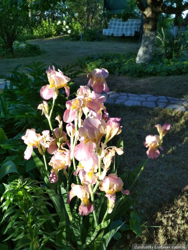 Прекрасные мгновения весны