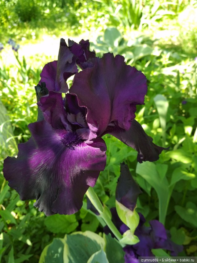 Прекрасные мгновения весны