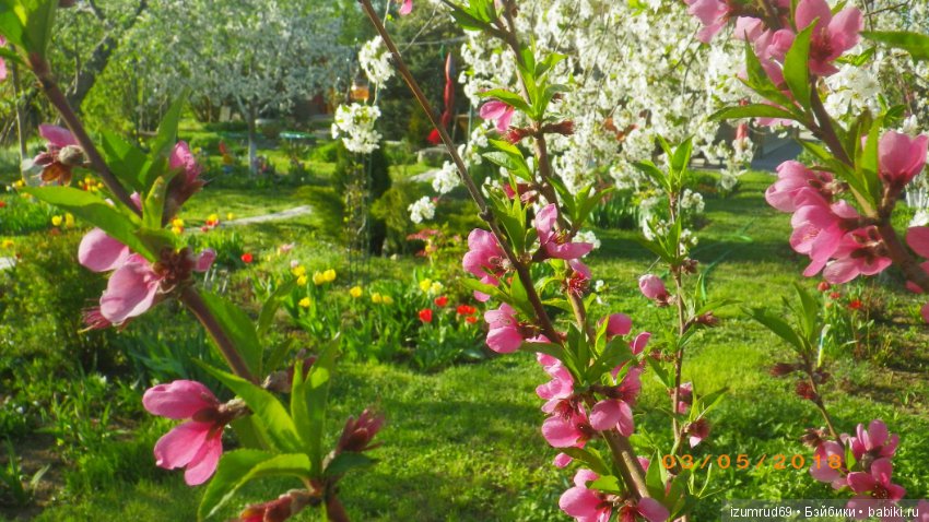 Прекрасные мгновения весны