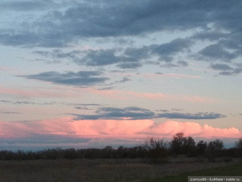 Прекрасные мгновения весны (фото 6)