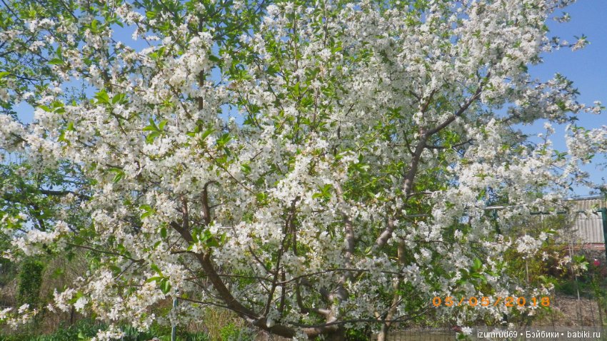 Прекрасные мгновения весны