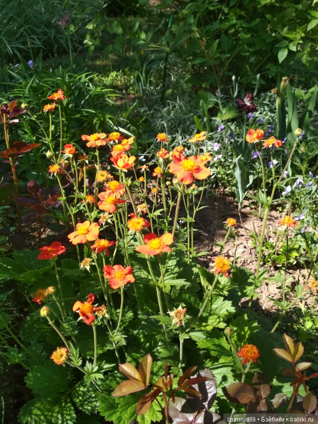 Прекрасные мгновения весны