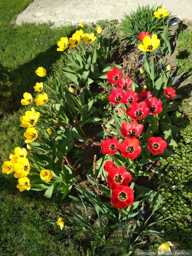 Прекрасные мгновения весны