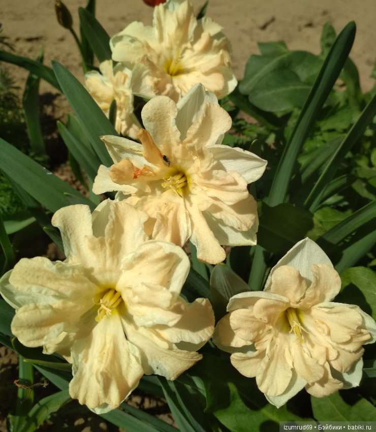 Прекрасные мгновения весны