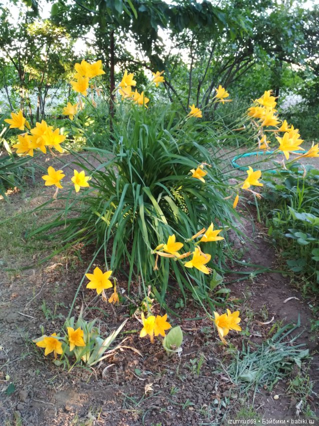 Прекрасные мгновения весны