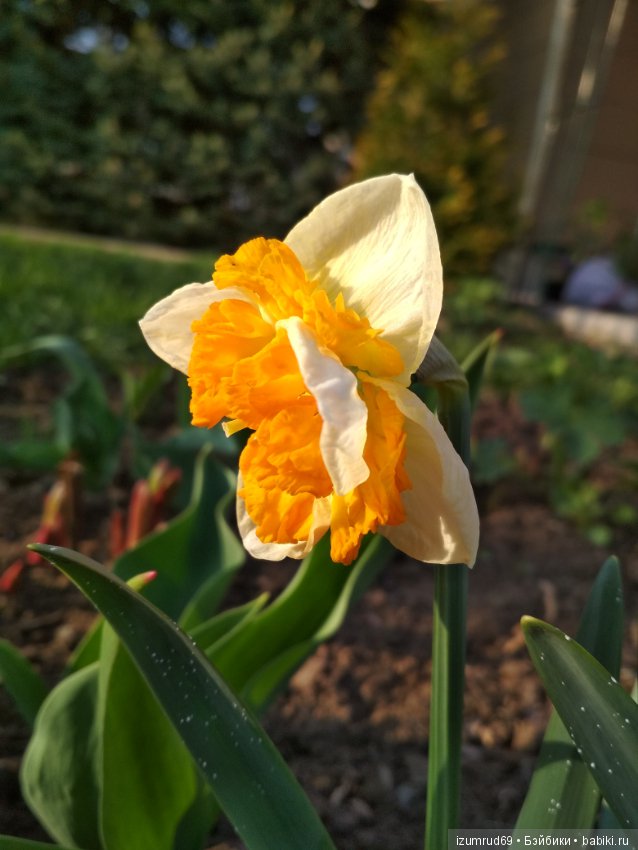 Прекрасные мгновения весны (фото 7)