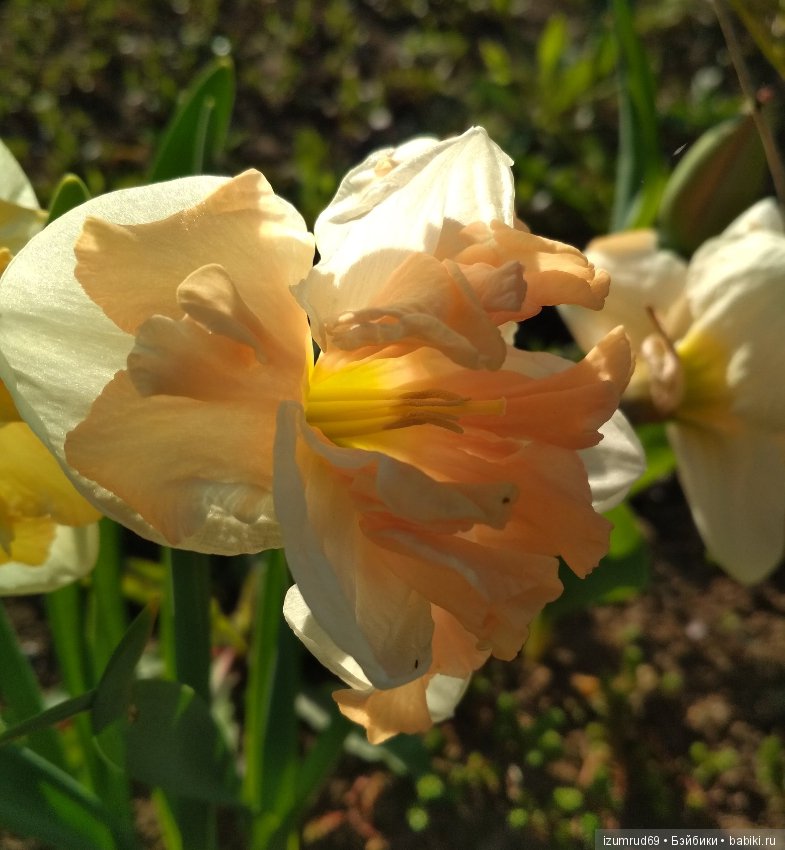 Прекрасные мгновения весны