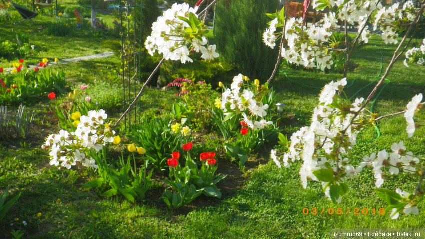 Прекрасные мгновения весны