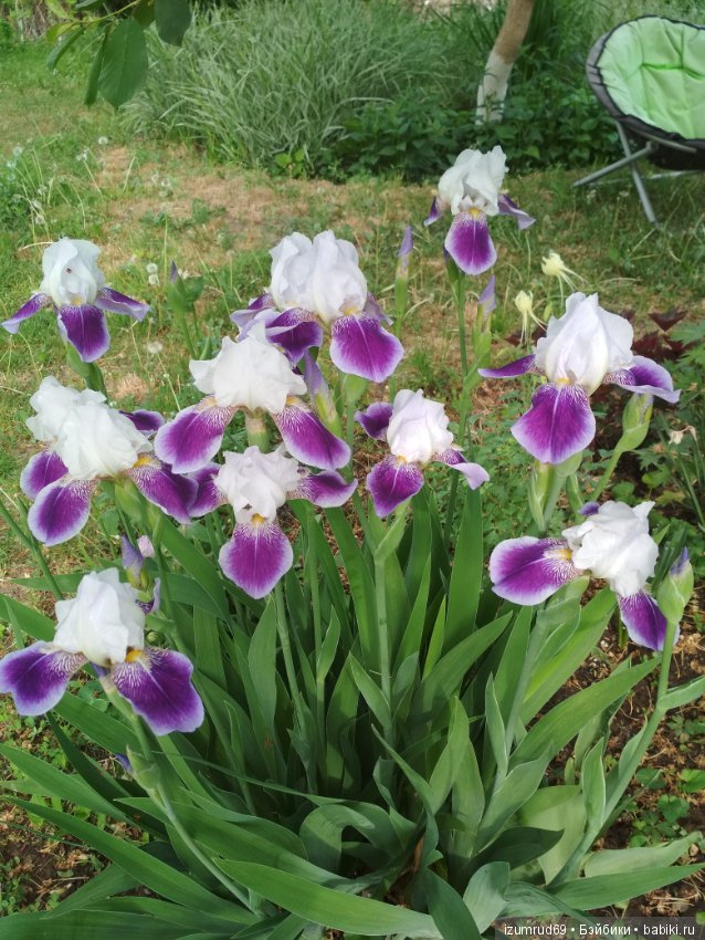 Прекрасные мгновения весны