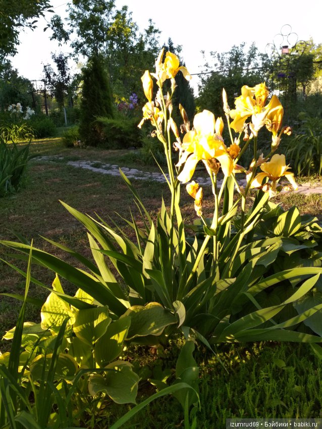 Прекрасные мгновения весны