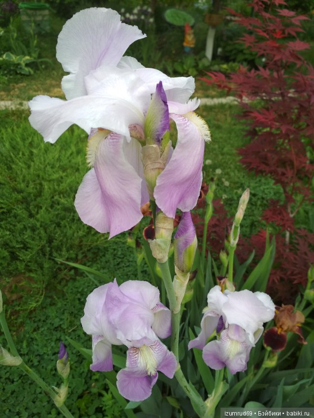 Прекрасные мгновения весны