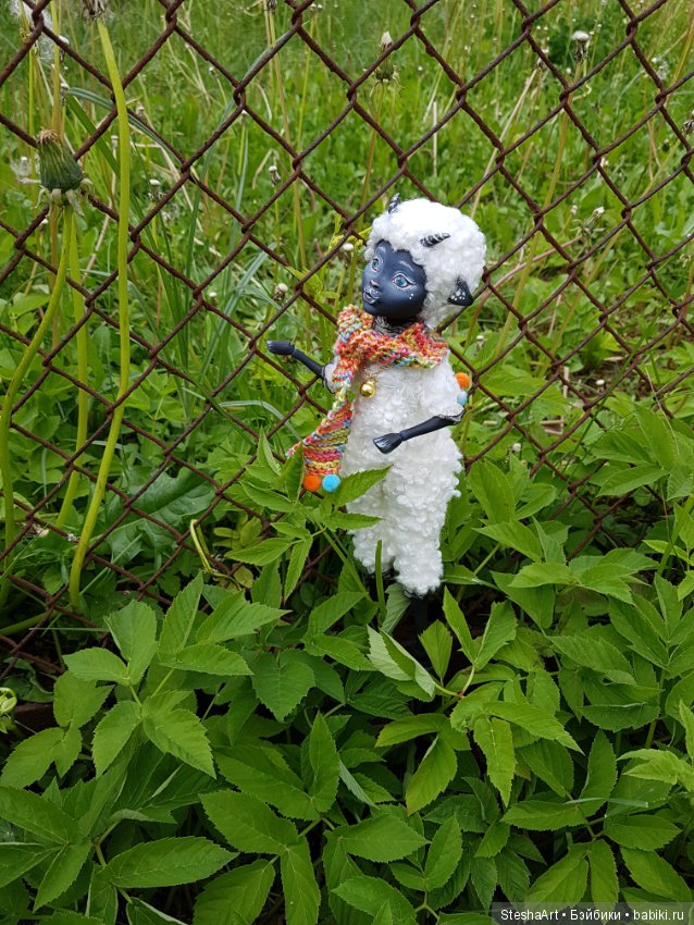 Барашка или как волки становятся овцами (фото 7)