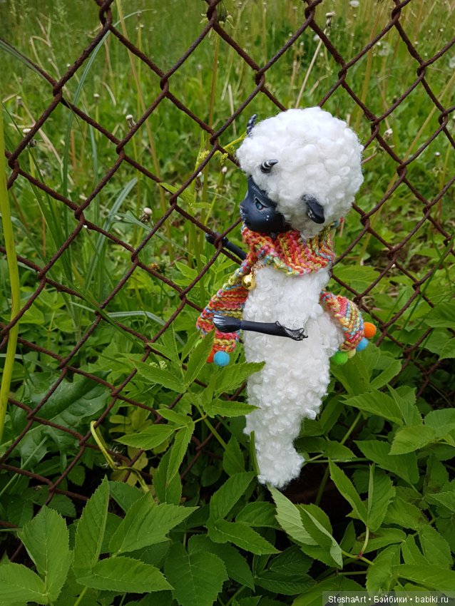 Барашка или как волки становятся овцами (фото 6)