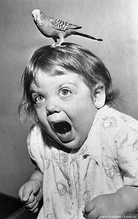 Минутка позитива - эмоции (фото 2)