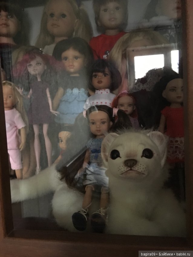 Мой куклошкафчик — Болталка и разговоры обо всем: жизнь (фото 9)