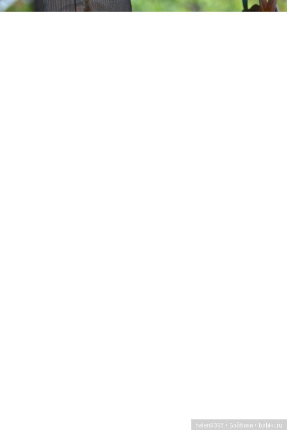 Чем сердце успокоится — Куклы Iplehouse (Иплхаус): BJD (БЖД)