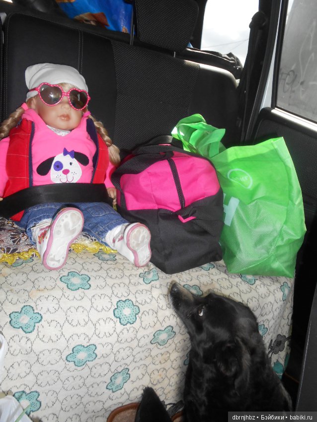 Перлуша первый раз ездила на море (фото 4)