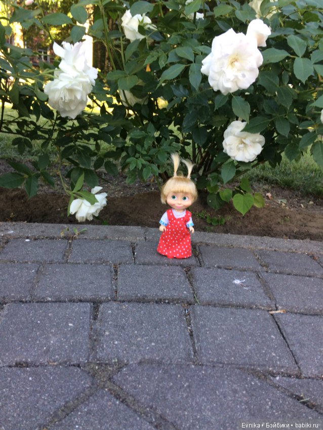 Машка - промокашка — Куклы Маша и Медведь (Simba): Маша в кармашке