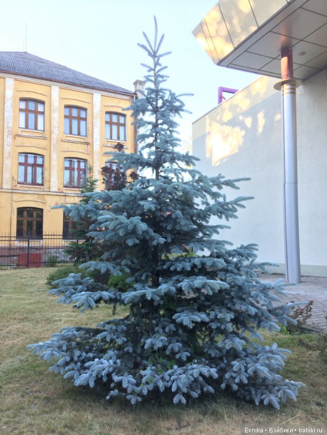 Машка - промокашка — Куклы Маша и Медведь (Simba): Маша в кармашке