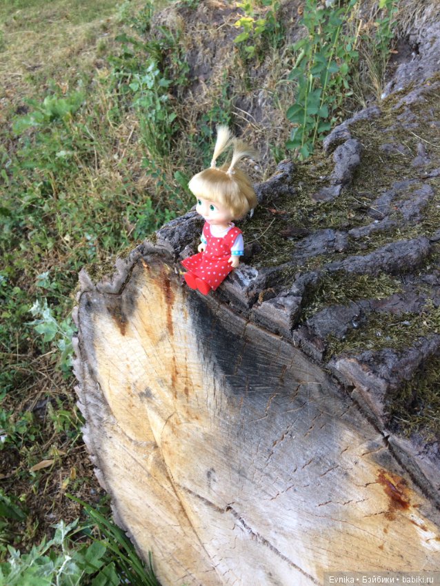 Машка - промокашка — Куклы Маша и Медведь (Simba): Маша в кармашке (фото 7)