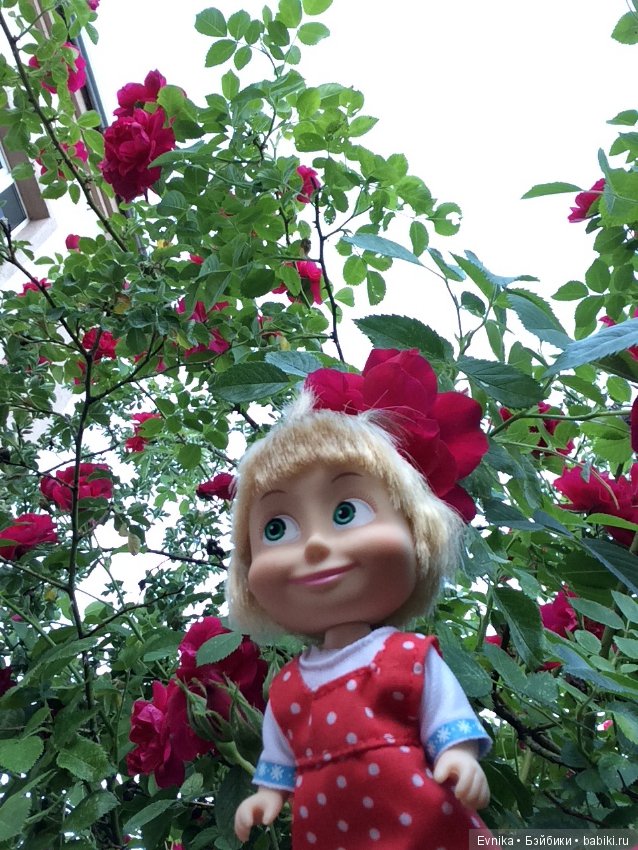 Машка - промокашка — Куклы Маша и Медведь (Simba): Маша в кармашке