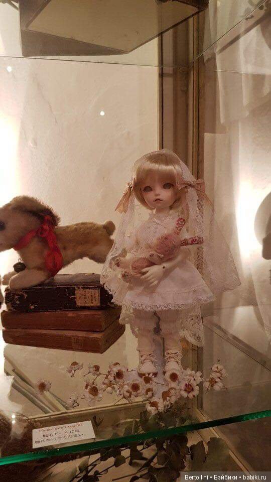 Фото с выставки в Японии — Куклы Soom (Сум): BJD (БЖД)