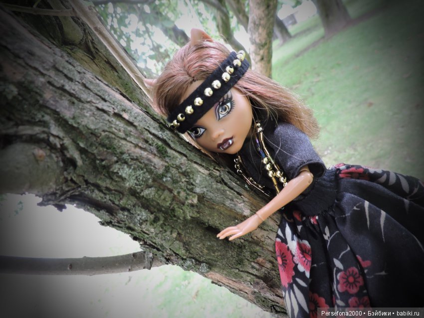 Мохнатая и...неистовая — Куклы Monster High и Ever After High: G1 (фото 7)