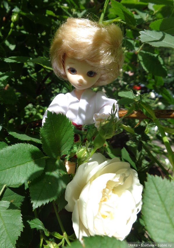 Рубашка с рукавами для obitsu 11см (фото 3)