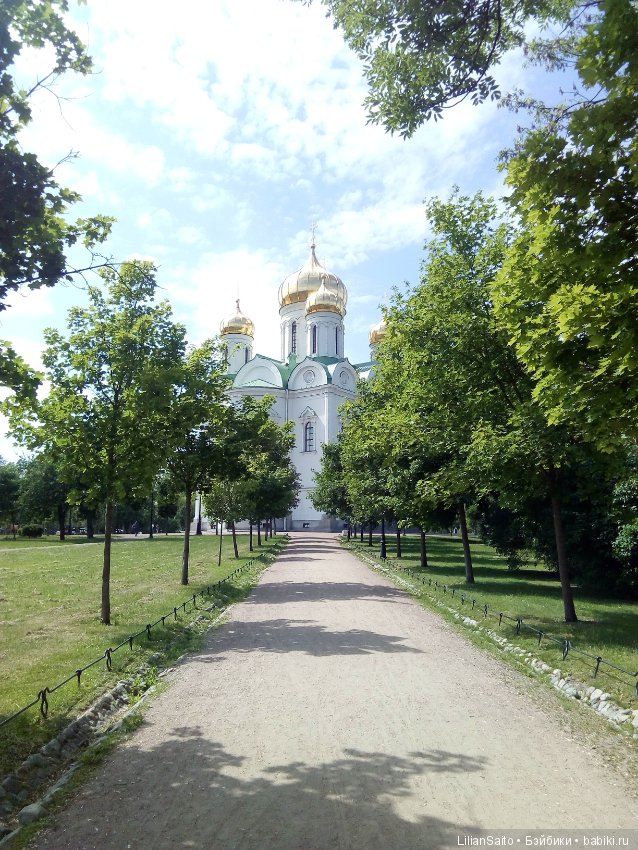 Отечество нам Царское Село (фото 4)