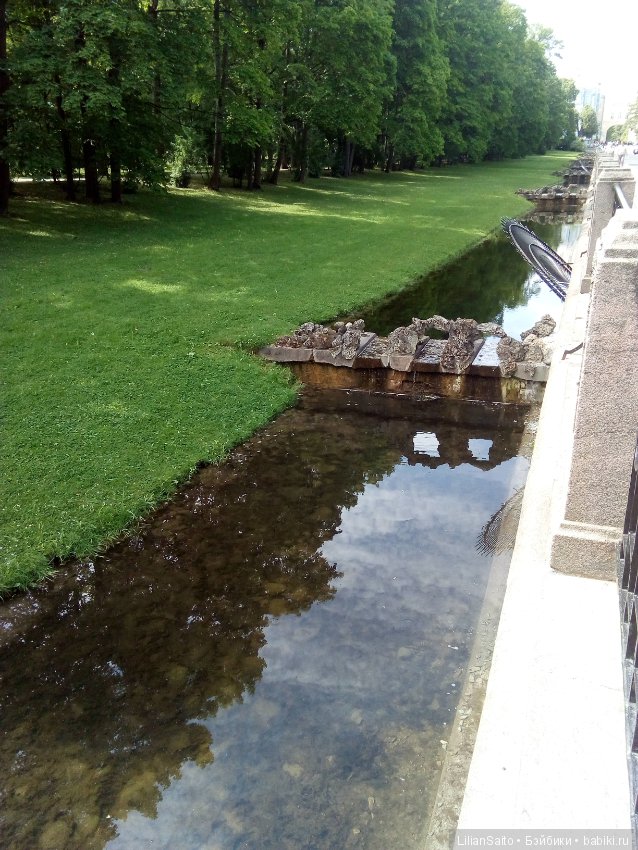 Отечество нам Царское Село (фото 5)