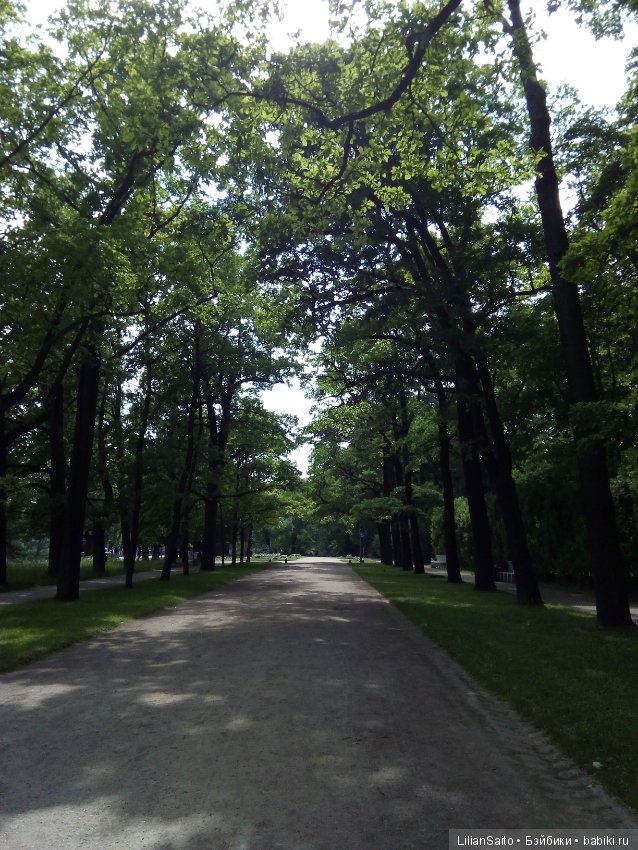 Отечество нам Царское Село