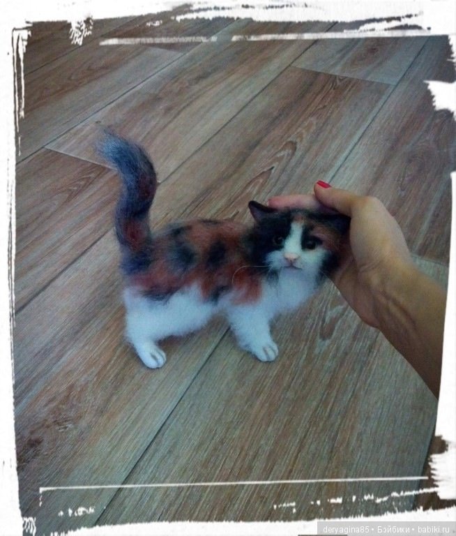 Вот и готова моя трехшерстная кошечка (фото 8)