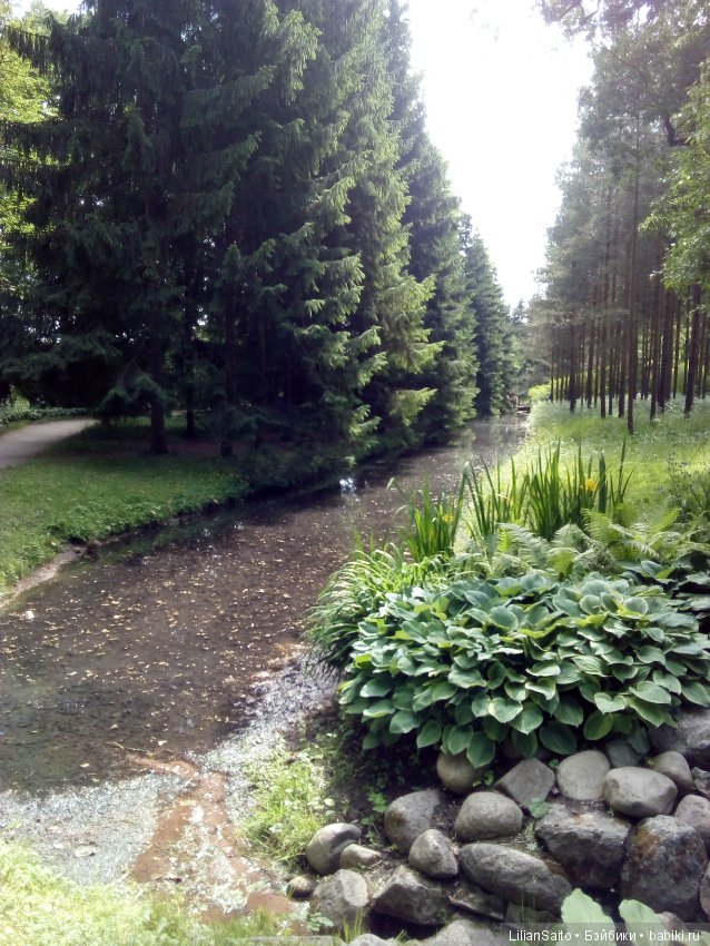 Отечество нам Царское Село