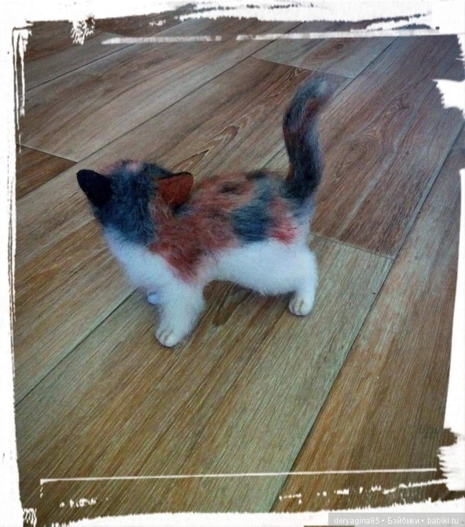 Вот и готова моя трехшерстная кошечка