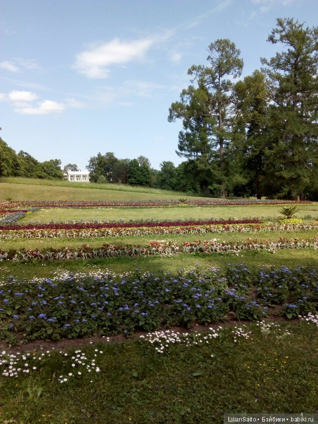 Отечество нам Царское Село