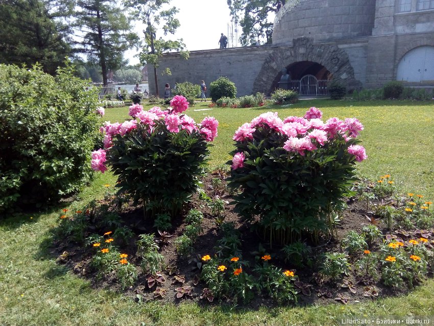 Отечество нам Царское Село