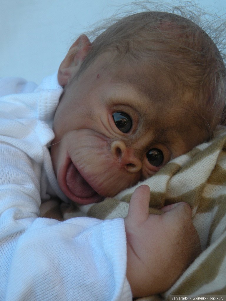 А как вы относитесь к реборнам обезьянкам (фото 2)