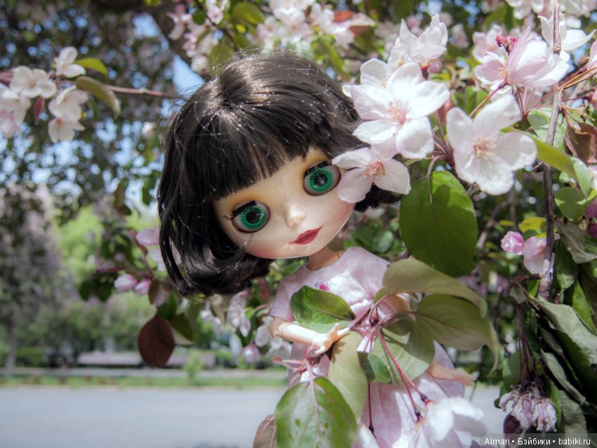 Весна — Куклы Blythe TBL (ТБЛ) и аналоги: Блюх (фото 4)