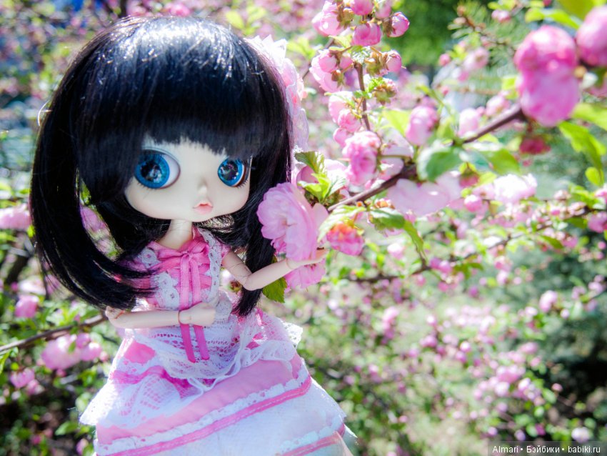 Весна — Куклы Blythe TBL (ТБЛ) и аналоги: Блюх