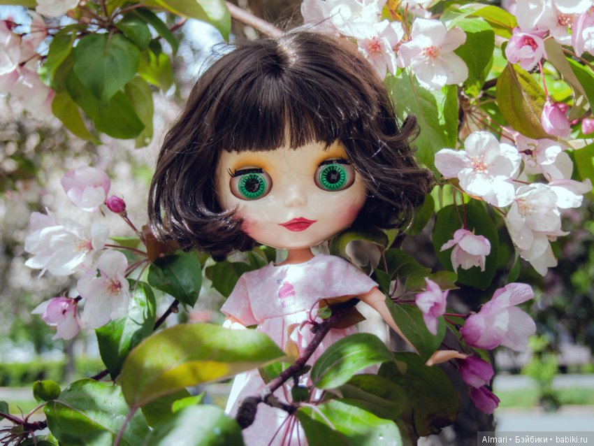 Весна — Куклы Blythe TBL (ТБЛ) и аналоги: Блюх (фото 5)