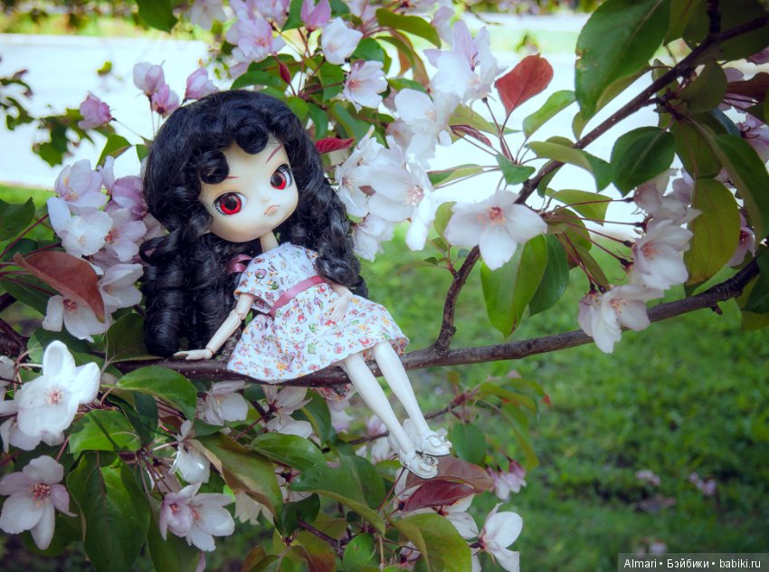 Весна — Куклы Blythe TBL (ТБЛ) и аналоги: Блюх