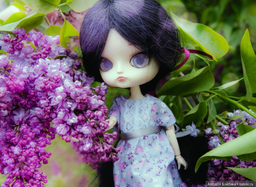 Весна — Куклы Blythe TBL (ТБЛ) и аналоги: Блюх (фото 3)