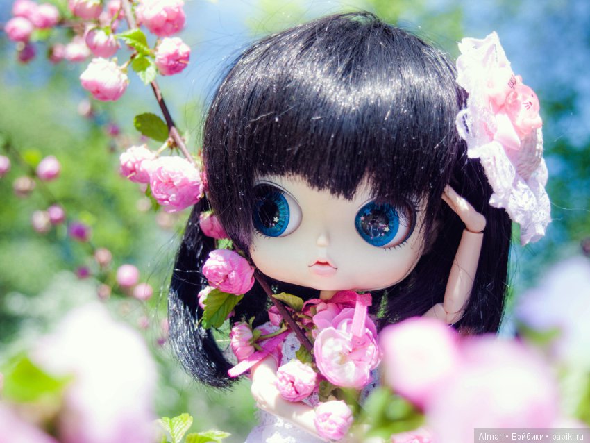 Весна — Куклы Blythe TBL (ТБЛ) и аналоги: Блюх