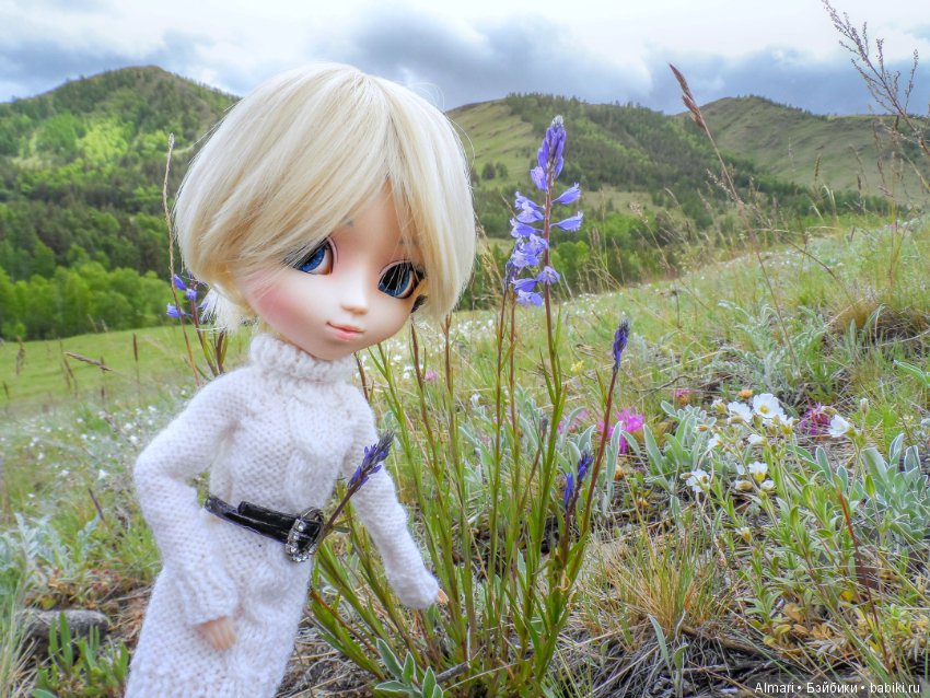Весна — Куклы Blythe TBL (ТБЛ) и аналоги: Блюх