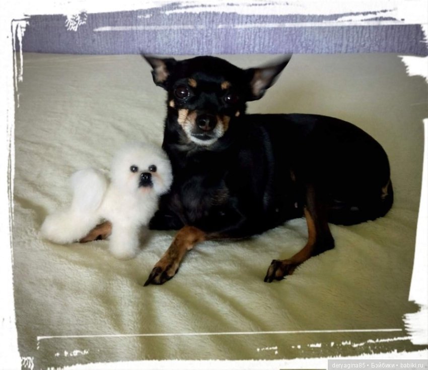 Бишон фризе — Валяные игрушки из шерсти: сухое валяние