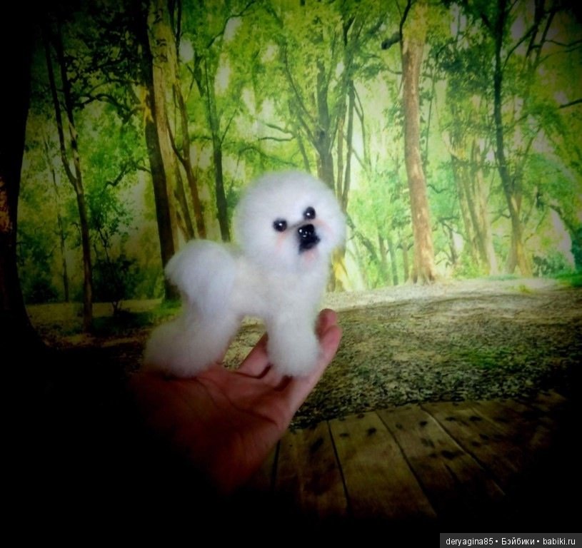 Бишон фризе — Валяные игрушки из шерсти: сухое валяние