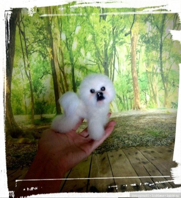 Бишон фризе — Валяные игрушки из шерсти: сухое валяние