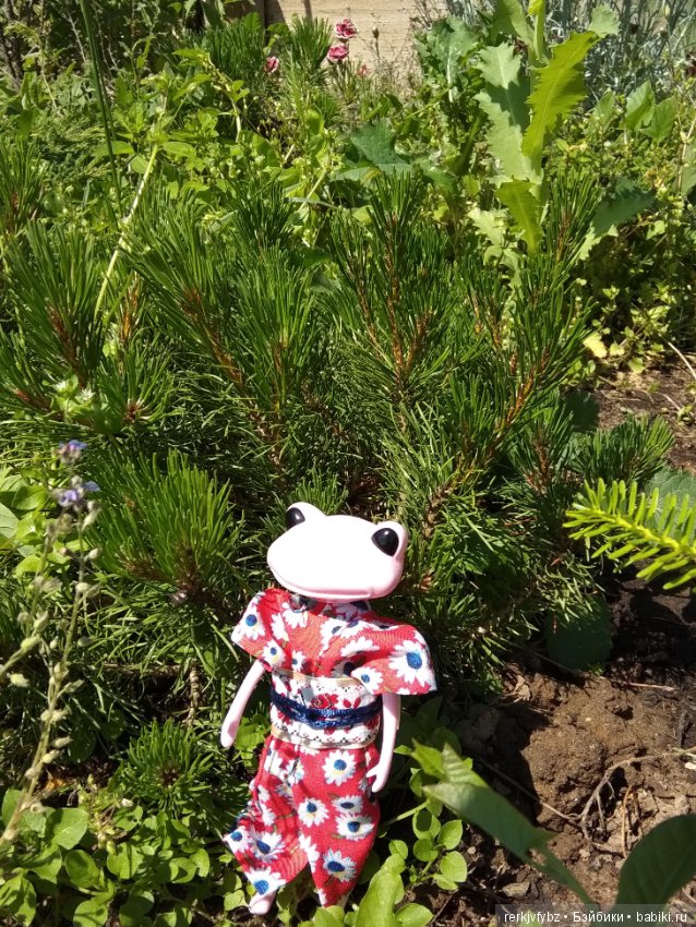 Кое-что из жизни лягушек — Фигурки Studio (фото 2)