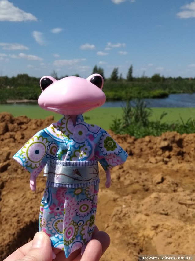 Кое-что из жизни лягушек — Фигурки Studio