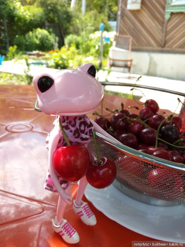 Кое-что из жизни лягушек — Фигурки Studio (фото 7)